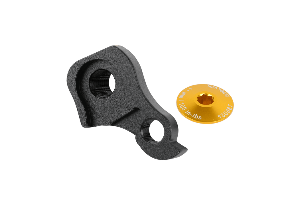 Derailleur Hanger Kit with Gold Cap - All 2017-2021 models