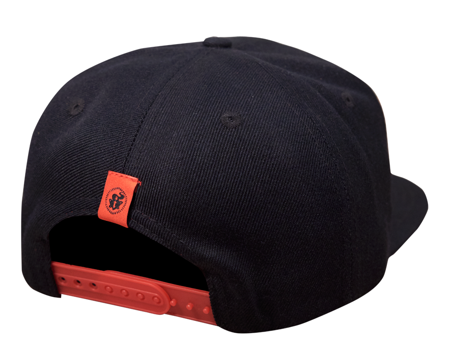 Flat bill dc hat outlet