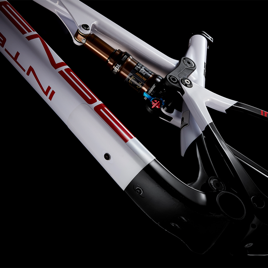 Sniper XC Carbon Mountain Bike Frame